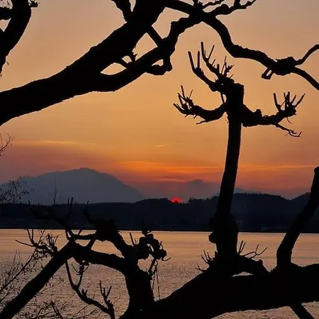 Rosentaler Nyaraló *