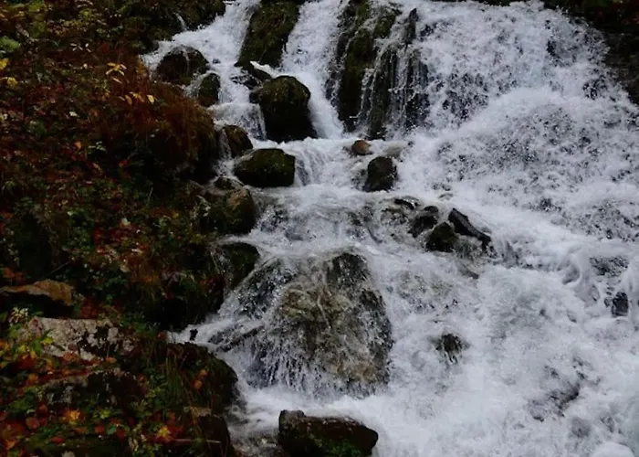 Dom wakacyjny Rosentaler *