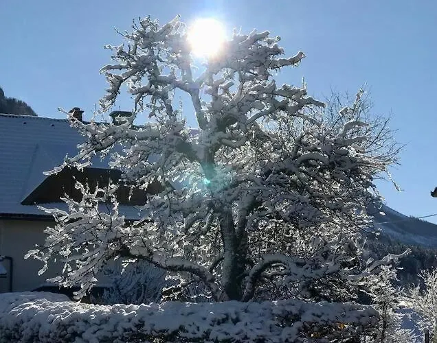 Rosentaler Dom wakacyjny